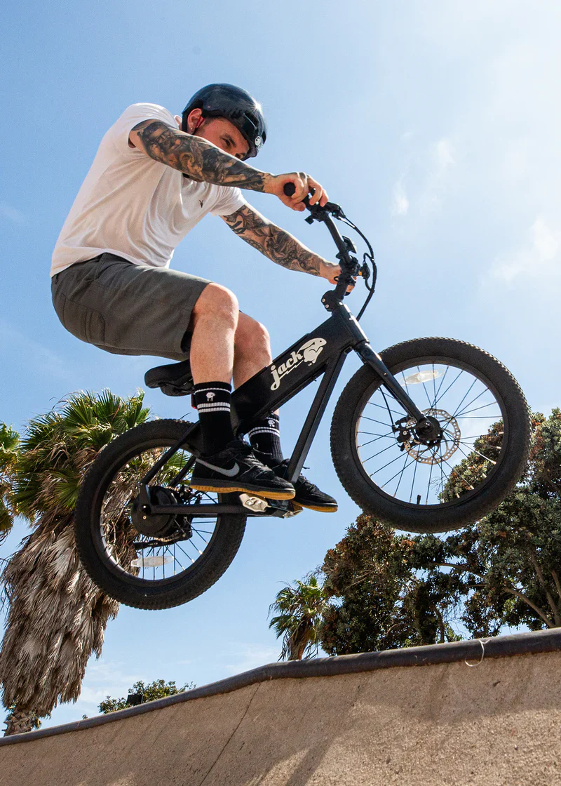 JackRabbit Xg - Micro Ebike - Image 8